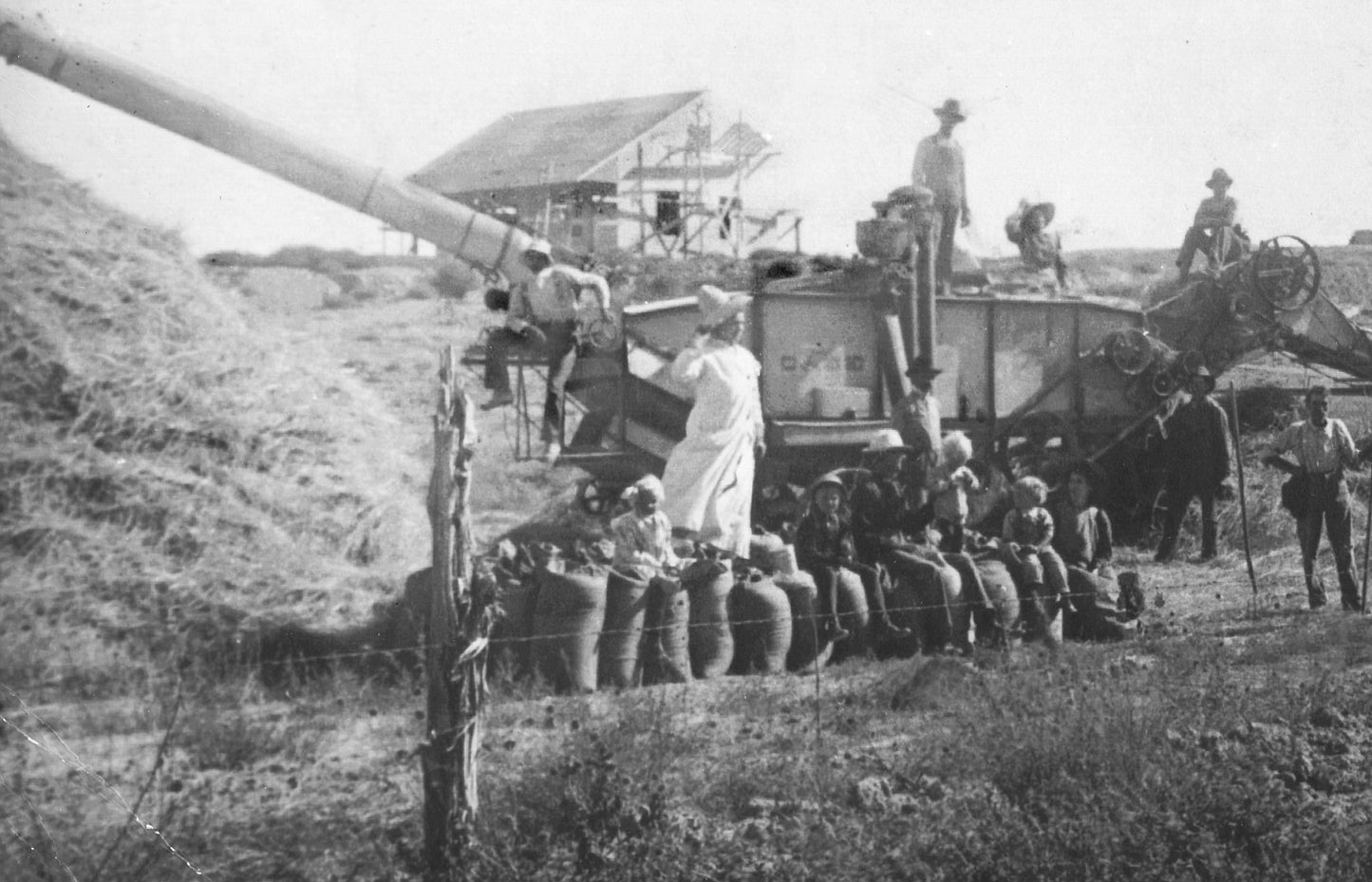 Oficjalny Sklep | 👩‍⚕️🎁 GeeLemon® Moringa · Berberyna × NAD+ Zaawansowany plaster z nanomikroigłami 10 w 1🇵🇱(Tylko raz dziennie, widoczne zmiany już w 7 dni)✅ Na otyłość, 🅛🅞🅞🅢🅔 🅢🅚🅘🅝 wiotką skórę, cukrzycę, bezdech senny, problemy ze stawami i wiele więcej